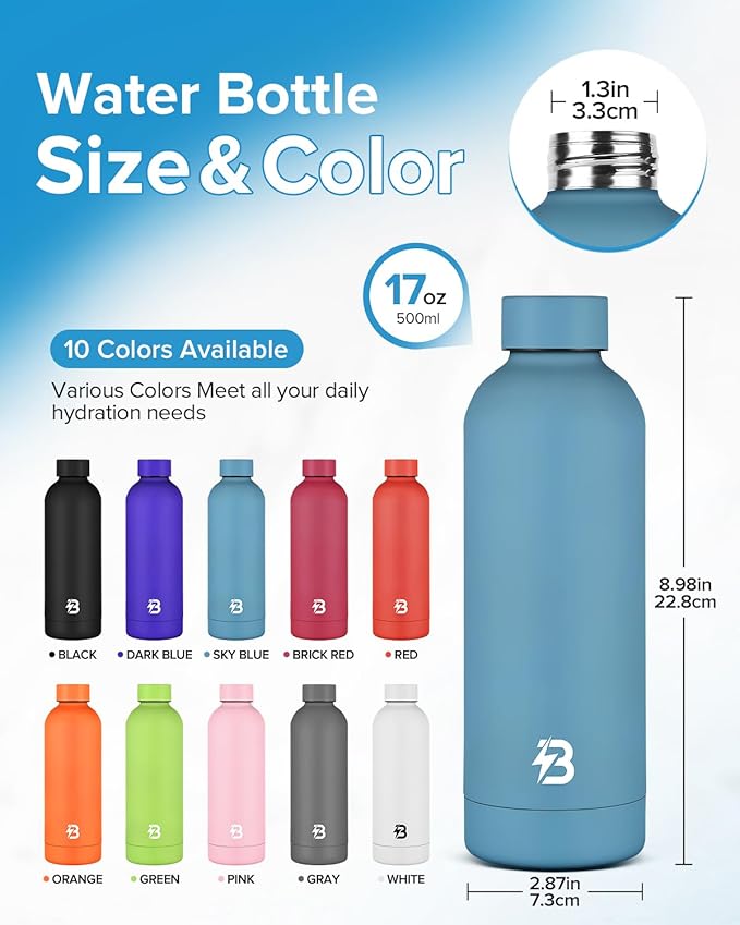 Insulated Water Bottle with Lid, 17 oz Reusable Leak-Proof Metal Stainless Steel Water Bottles for Travel, Sports, Gym, Outdoor (Sky Blue)