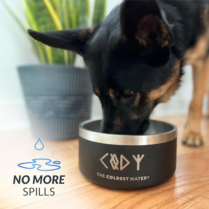 Coldest Dog Bowl - Anti Rust Metal, Non Slip, 3 Layers Insulated Stainless Steel Dog Bowls - Spill Proof & Heavy Duty - Water Bowl for Dogs, Cats & Pets, Dish Washer Safe (42 oz, Stealth Black)