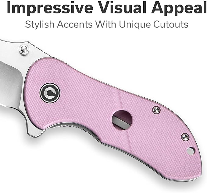CIVIVI Gordo Small Folding Pocket Knife for EDC, 2.51" D2 Blade G10 Handle with Carry Clip, Slim EDC Pocket Knife for Women Men C22018C-4, Pink