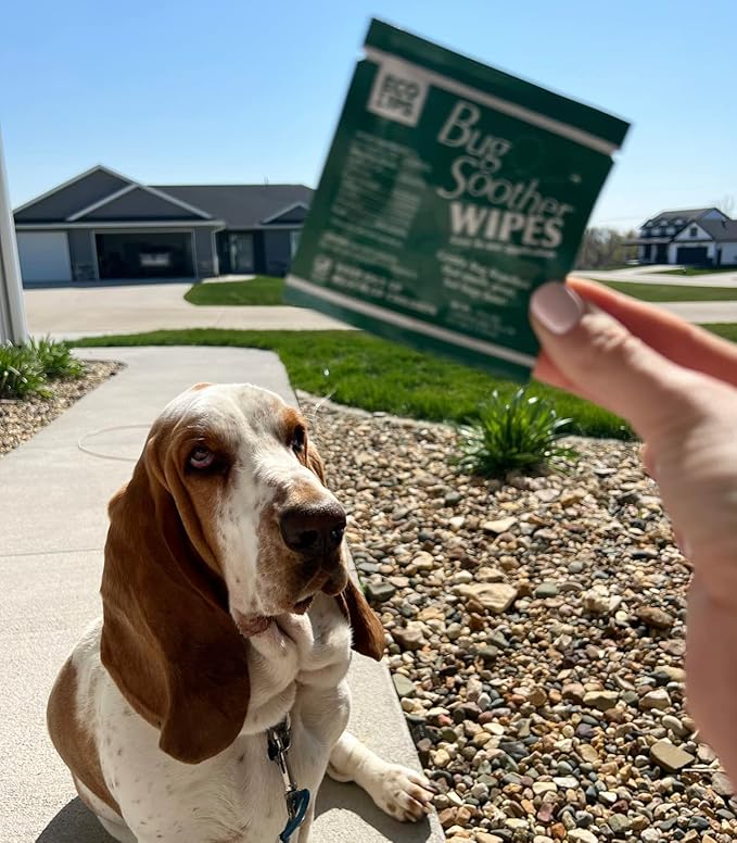 Bug Soother Wipes (15 ct) - Natural Insect, Gnat and Mosquito Repellent & Deterrent - 100% DEET-Free Safe Bug Wipes for Adults, Kids, & Pets - Made in USA