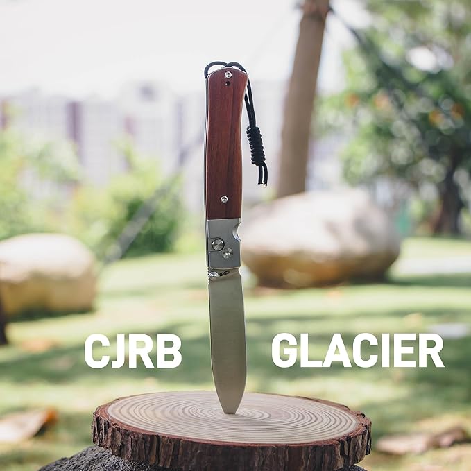 CJRB Glacier Folding Knife, 3.54'' AR-RPM9 Steel Blade EDC Knives with Wood Handle for Camping Hiking Survival(1961 Wood)