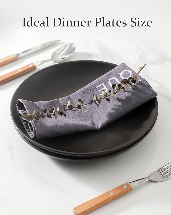 Dinner Plates Set of 2, 10 Inch Stoneware Dinnerware Dish Set for Kitchen, Large Serving Plates for Pasta Steak Assorted, Scratch Resistant, Microwave & Dishwasher Safe, Matte Black