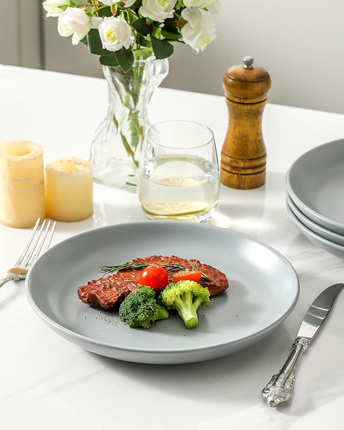 Dinner Plates Set of 4, 10 Inch Plates Set for Salad, Appetizer, Dessert, Stoneware Dinnerware Dishes for Kitchen Gift, Microwave & Dishwasher Safe, Pebble Gray