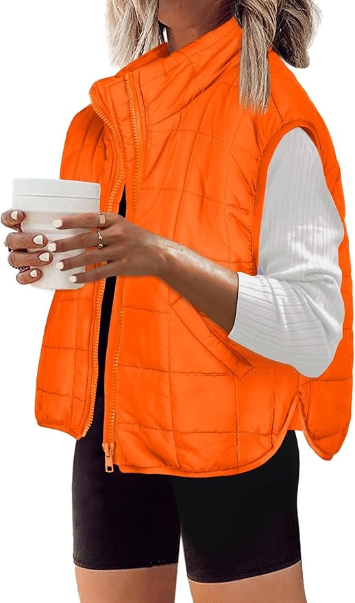 Zeagoo Womens Puffer Vest Ladies Sleeveless Zip Up Outerwear Warm Puffer Lightweight Down all Winter Jackets Coats 2025