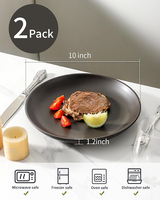Dinner Plates Set of 2, 10 Inch Stoneware Dinnerware Dish Set for Kitchen, Large Serving Plates for Pasta Steak Assorted, Scratch Resistant, Microwave & Dishwasher Safe, Matte Black