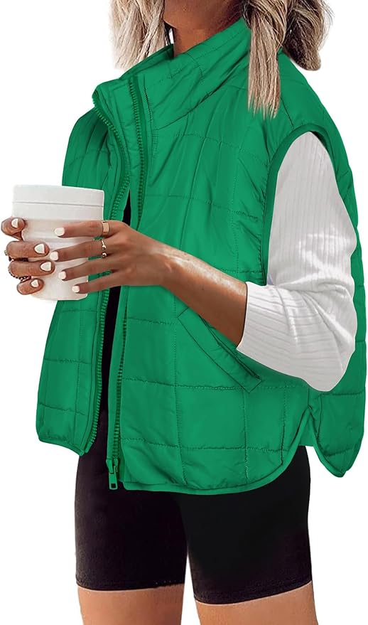 Zeagoo Womens Puffer Vest Ladies Sleeveless Zip Up Outerwear Warm Puffer Lightweight Down all Winter Jackets Coats 2025