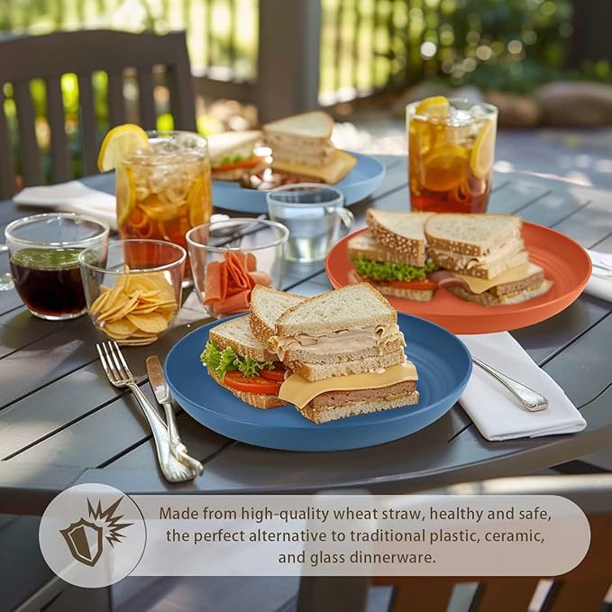 Homienly Wheat Straw Plates, 12-Pieces Unbreakable Dinner Plates - 9 Inch Alternative to Plastic Plates, Unbreakable Microwave and Dishwasher Safe Plate Set for Kitchen, Camping, Party - Multi