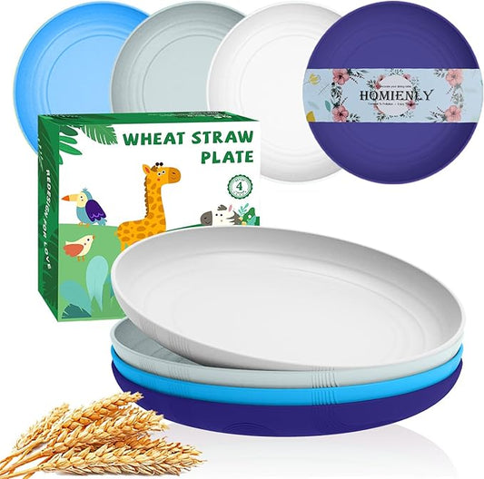 Homienly Unbreakable Plate Set, Wheat Straw Plates for Kitchen, Camping, Picnic, Dessert Plate with Textured Pattern, Alternative to Plastic Plates Dishwasher & Microwave Safe, Set of 4 - Island