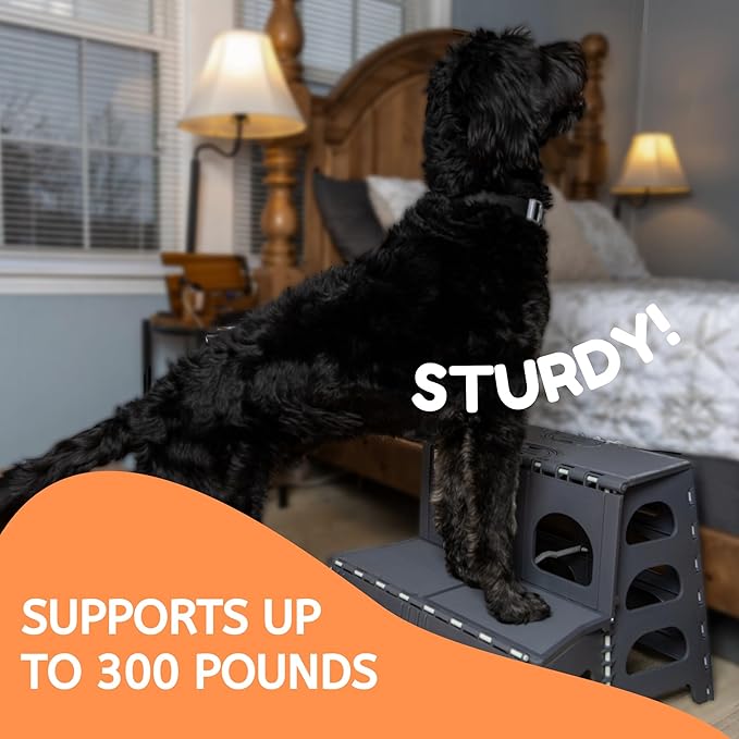 Bee Neat 2 Step Folding Dog Stairs & Ramp for Your Pet - Indoor Outdoor Foldable Pet Stairs for High Bed, Car, SUV – Collapsible Step Stool Ladder Supports 300lbs – New Carpeted Design