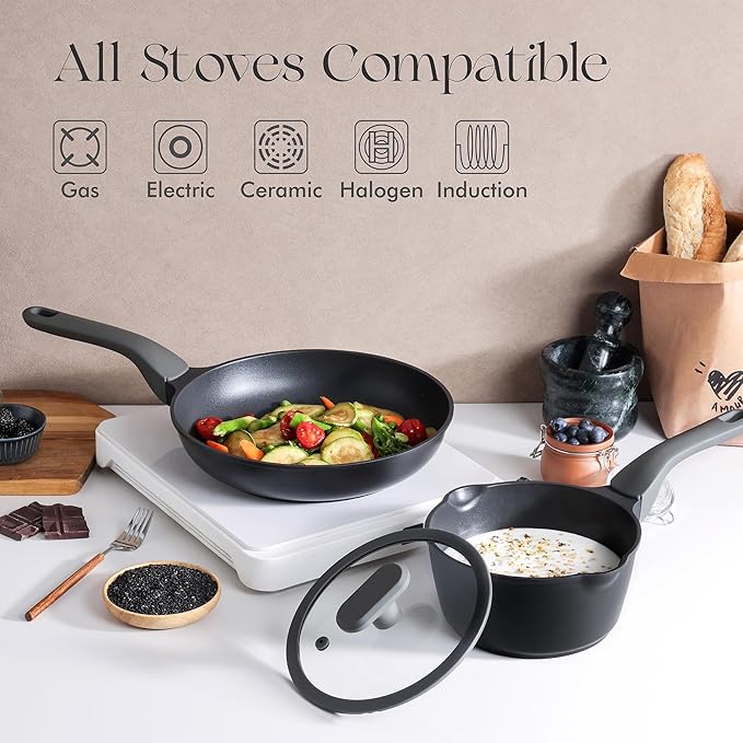 Nonstick Ceramic Frying Pan with Lid, 8/10 Inch Skillet with Stay Cool Handle, Fully Coated, Induction Compatible & Oven Safe, 100% Dishwasher Safe, PTFE & PFOA Free（10 Inch, Black Sesame）