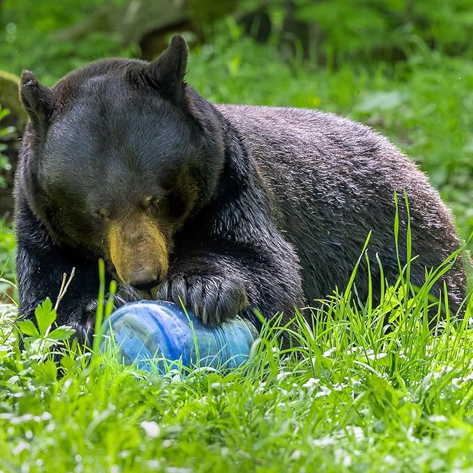 Canister for Backpacking. 4 Sizes: BV500, BV475, BV450, BV425. Bear-Resistant Food Container for Camping, Hiking, Fishing, Hunting, Bikepacking. BearVault is Bear Safe!
