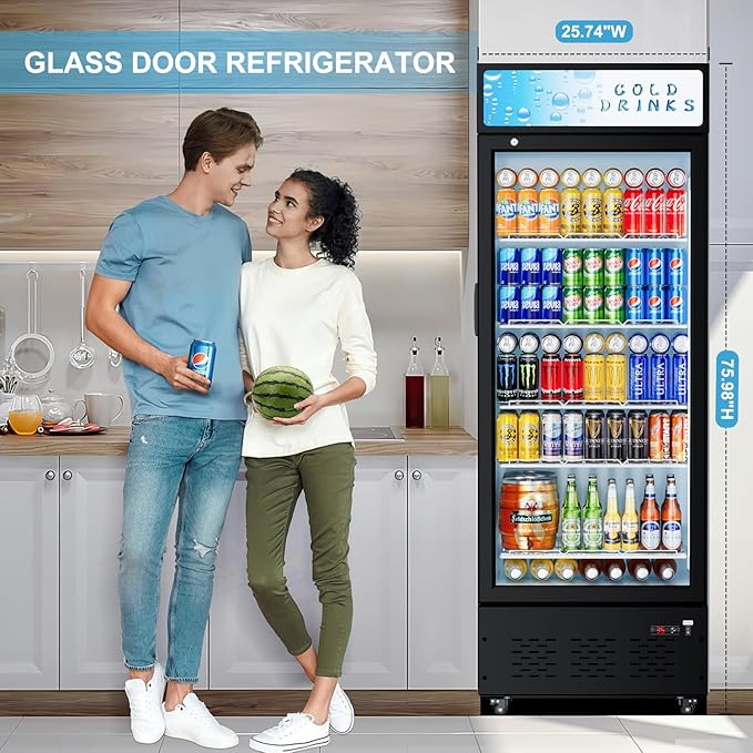 Commercial Glass Door Display Refrigerator 15 cu.ft Commercial Beverage Refrigerators with LED Light and 5 Shelves for Cafe, Restaurant, Store, Bar