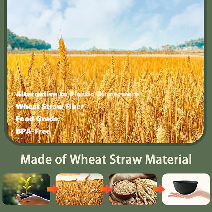 Wheat Straw Dinnerware Sets for 4, Unbreakable Kids Plates and Bowls Sets 20 PCS, Alternatives Reusable Plastic Dinnerware Set, Microwave Safe Kitchen Dish Set for Dorm, Camping (Black)