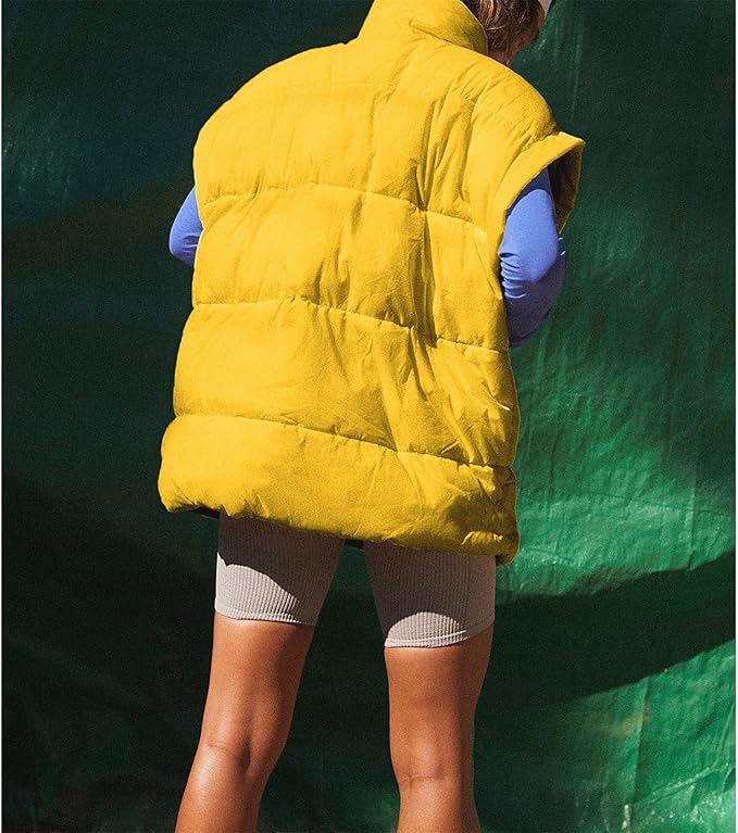 Ainangua Women's Puffer Vest Stand Collar Zipper Sleeveless Jackets Winter Lightweight Vests Warm Padded Jacket Coat