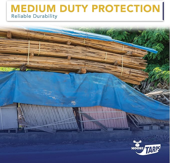 10' x 20' Waterproof Tarp, Medium Duty Reversible Blue/Silver, Multipurpose Indoor and Outdoor Tarps for Tents, Wood Cover, Furniture, Car, Boat, Pool, Tear Resistant, Blue