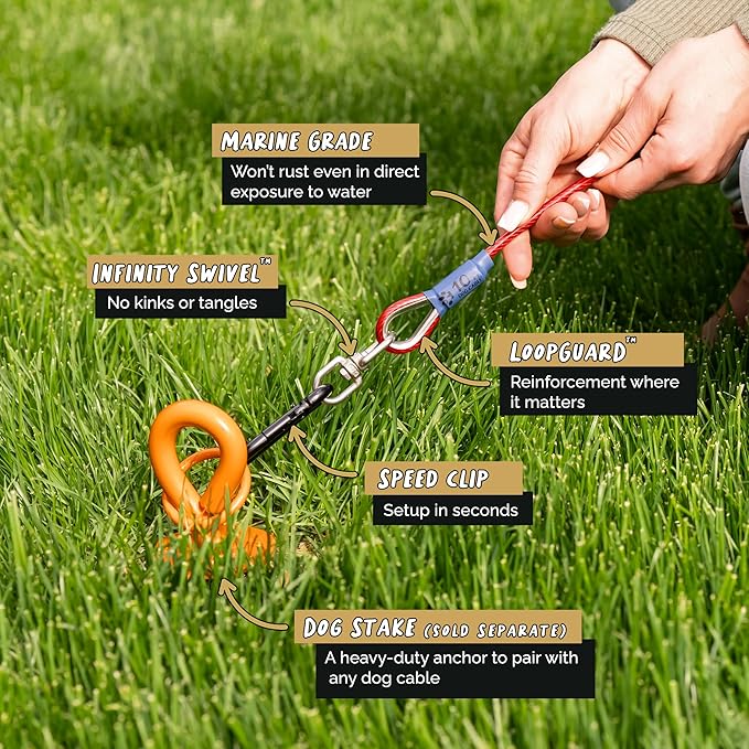 Dog Tie Out Cable - Tie Out Cable for Dogs (up to 300 lbs) - Use Dog Tie-Outs & Stakes for Outside - Best Heavy Duty Dog Leash for Large Dogs (10ft - Red Ruby)