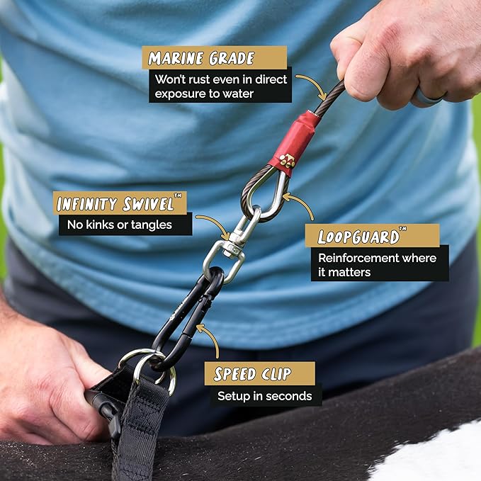 Dog Tie Out Cable and Stake 30ft - for Large Dogs up to 300 lbs - Heavy Duty Tether and Dog Stake for Yard, Beach & Camping Outside (Black, L/XL - 30ft)