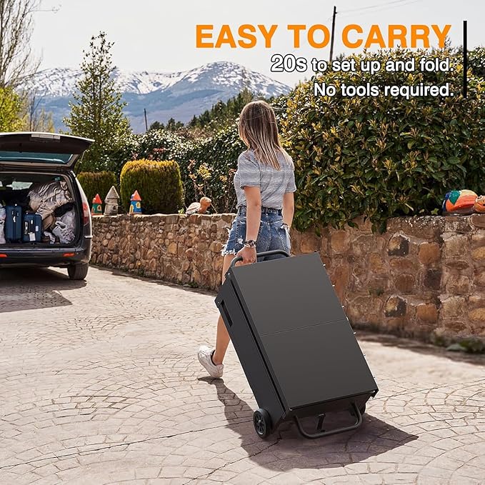 2 Burner Foldable Gas Griddle, 28 Inch Stainless Steel Portable Detachable Propane Griddle, 30,000 BTU Flat Top Barbecue Grill with Side Shelves for Camping