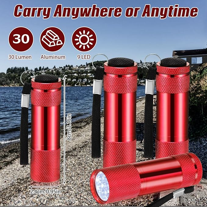 VIHOSE 48 Pcs Mini Flashlights Bulk, Bright Aluminum Handheld Flash Light with Lanyard, Small LED Flashlights for Kids Night Reading Emergency Hurricane Camping Hiking Party Favors(Red)