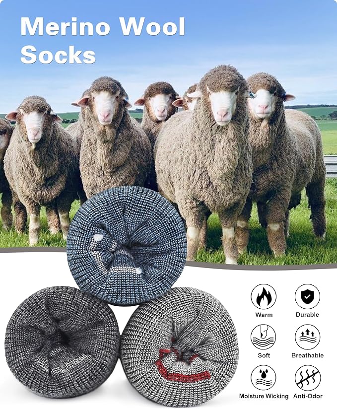 SIXDAYSOX Mens Merino Wool Hiking Socks, Moisture Wicking Cushioned Hiking Socks for Outdoor Trekking Cycling, 2 Pairs