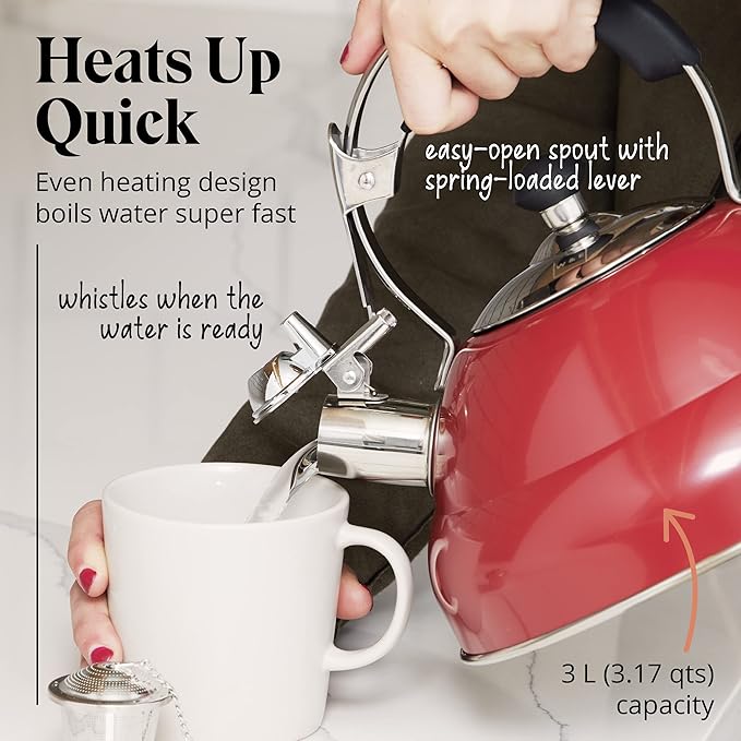 Willow & Everett Whistling Tea Kettle for Stove Top - 3 Liter Tea Pots for Stove Top w/Stainless Steel, Brushed Finish and Strainer - Tea, Coffee & Hot Water Pot, Black